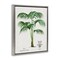 Stupell Industries Vintage Palm Illustration Floating Frame, design by Val Rhodes